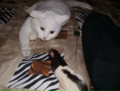 Фотография Язева Дмитрия