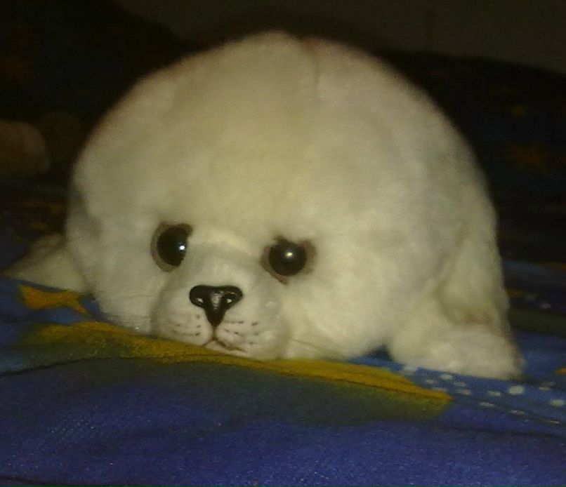 Сергей Савченко фотография #34