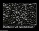 Катерина Тараторкіна фотография #6 (источник - https://vk.com/id29422595)