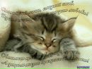 Таня Фостик фотография #50 (источник - https://vk.com/id310654879)