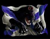 Фотография Кирейченко Вадима