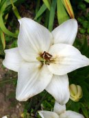 Дмитрий Рисник фотография #42 (источник - https://vk.com/id859134)