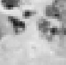 Таня Бородій фотография #3 (источник - https://vk.com/id54677741)