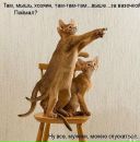 Фотография Лагно Антонины