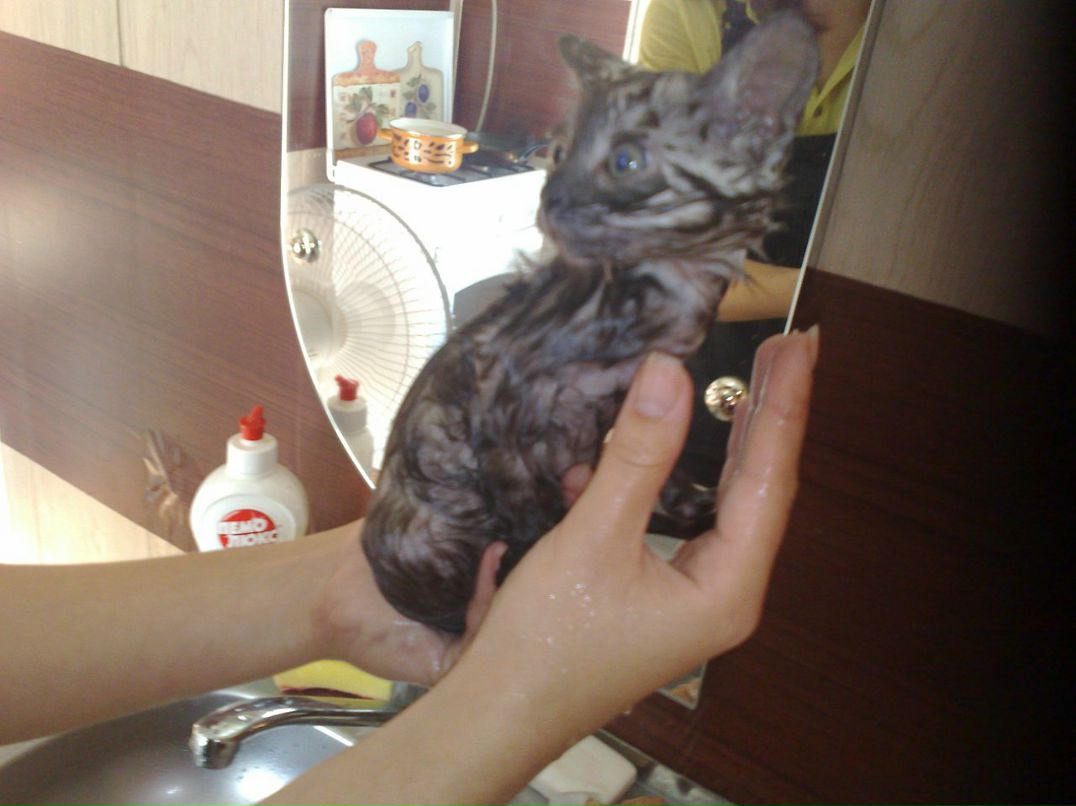 Дмитрий Баракин фотография #17