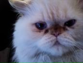 Фотография Машковской Дарины