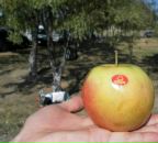 Фотография Жорника Василия