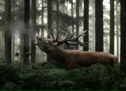 Фотография Белова Дмитрия