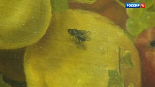 Эрмитаж. Обманки в искусстве