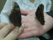 Фотография Долговой Натальи