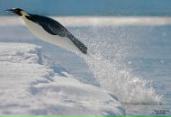 Фарид Мударрис фотография #25 (источник - https://vk.com/id90649712)