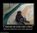 Сергей Hellborn фотография #31 (источник - https://vk.com/id92181447)