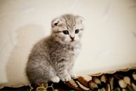 Фотография Рытова Михаила