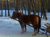 Василь Радзіх фотография #45 (источник - https://vk.com/id117548327)