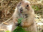 Фотография Якимовой Виктории