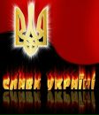 Дмитро Пісарцов фотография #6 (источник - https://vk.com/id29309378)