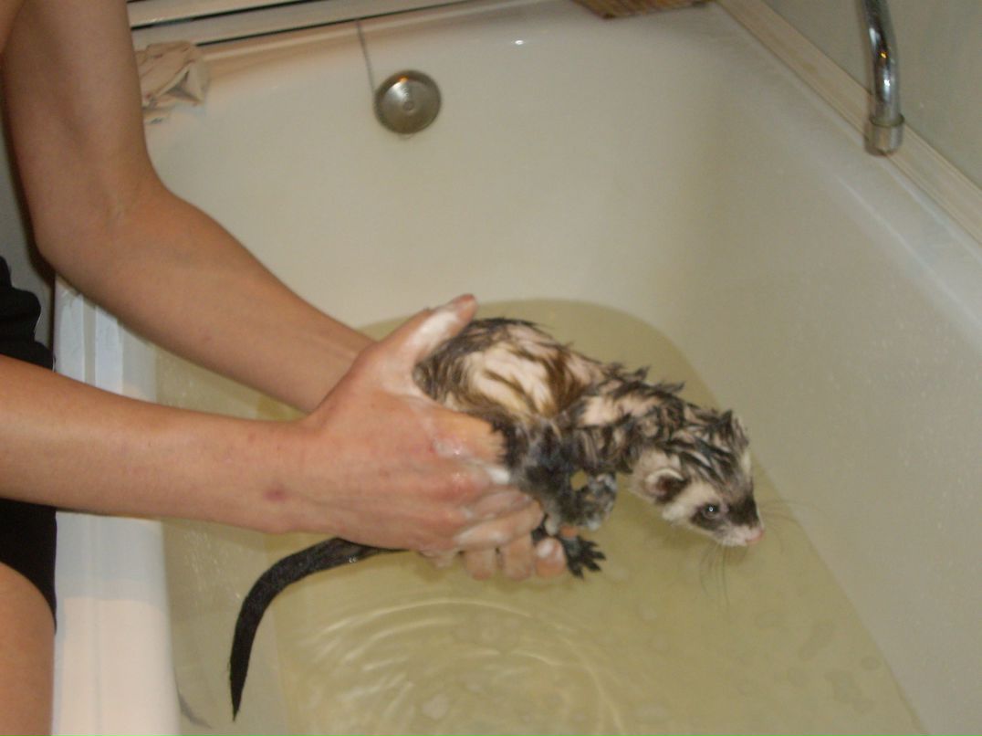 Дима Сергеевич фотография #19