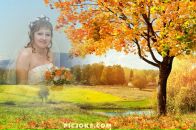 Фотография Кабанов Антон