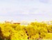 Мар'яна Мацола(рішко) фотография #30 (источник - https://vk.com/id108237007)