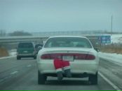 Фотография Лантуха Ромы