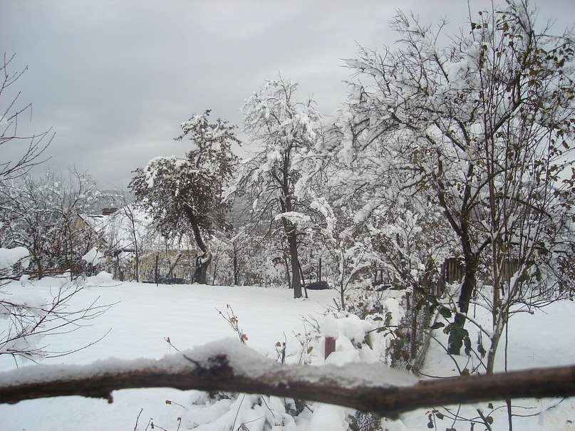 Era New фотография #42