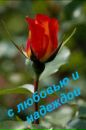 Ліза Кох фотография #30 (источник - https://vk.com/id94423636)