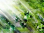 Юлія Фалей фотография #21 (источник - https://vk.com/id4104875)