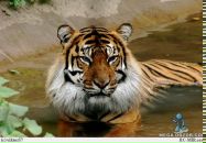 Фотография Богданова Алексея