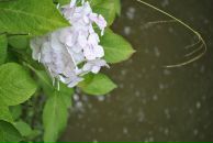 Lenka Bashirova фотография #32 (источник - https://vk.com/id3671995)