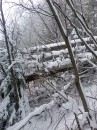 Вася Сірий фотография #15 (источник - https://vk.com/id70227408)