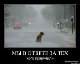 Фотография Бабкина Алексея