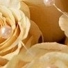 Вікуся Шепель фотография #32 (источник - https://vk.com/id151772478)
