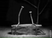 Фотография Федосеев Юра