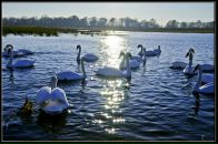 Лєна Возняк фотография #34 (источник - https://vk.com/id68467531)