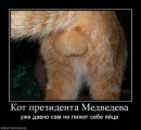 N[i]ki Baby фотография #40 (источник - https://vk.com/id66662499)
