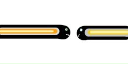 Фотография Солнцева Никиты