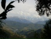 Фотография Беляева Ивана