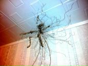 Виктор Назарет фотография #20 (источник - https://vk.com/id53760)