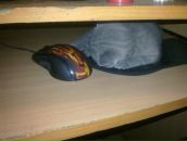 Фотография Трусова Олега