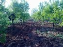 Hakan Alan фотография #31 (источник - https://vk.com/id146853132)