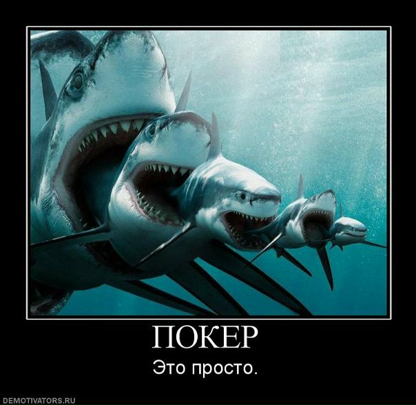 №7, Степан Осипов, 36 лет, Ярославль №7, Степан Осипов, 36 лет, Ярославль