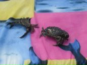 Фотография Постниковой Насти