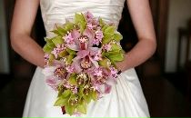 Квіти Розмовляють фотография #9 (источник - https://vk.com/id71896801)