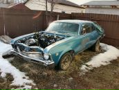 Фотография Кислова Ярослава