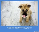 Іра Великожон фотография #4 (источник - https://vk.com/id66572897)