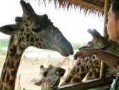 Артём Мошков фотография #23 (источник - https://vk.com/id180246)