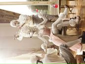 Фотография Смирновой Анны