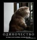 Ірина Редько фотография #50 (источник - https://vk.com/id55667456)