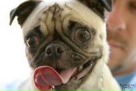 Фотография Головиной Ольги