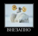 Карина Κозлова фотография #7 (источник - https://vk.com/id109718329)
